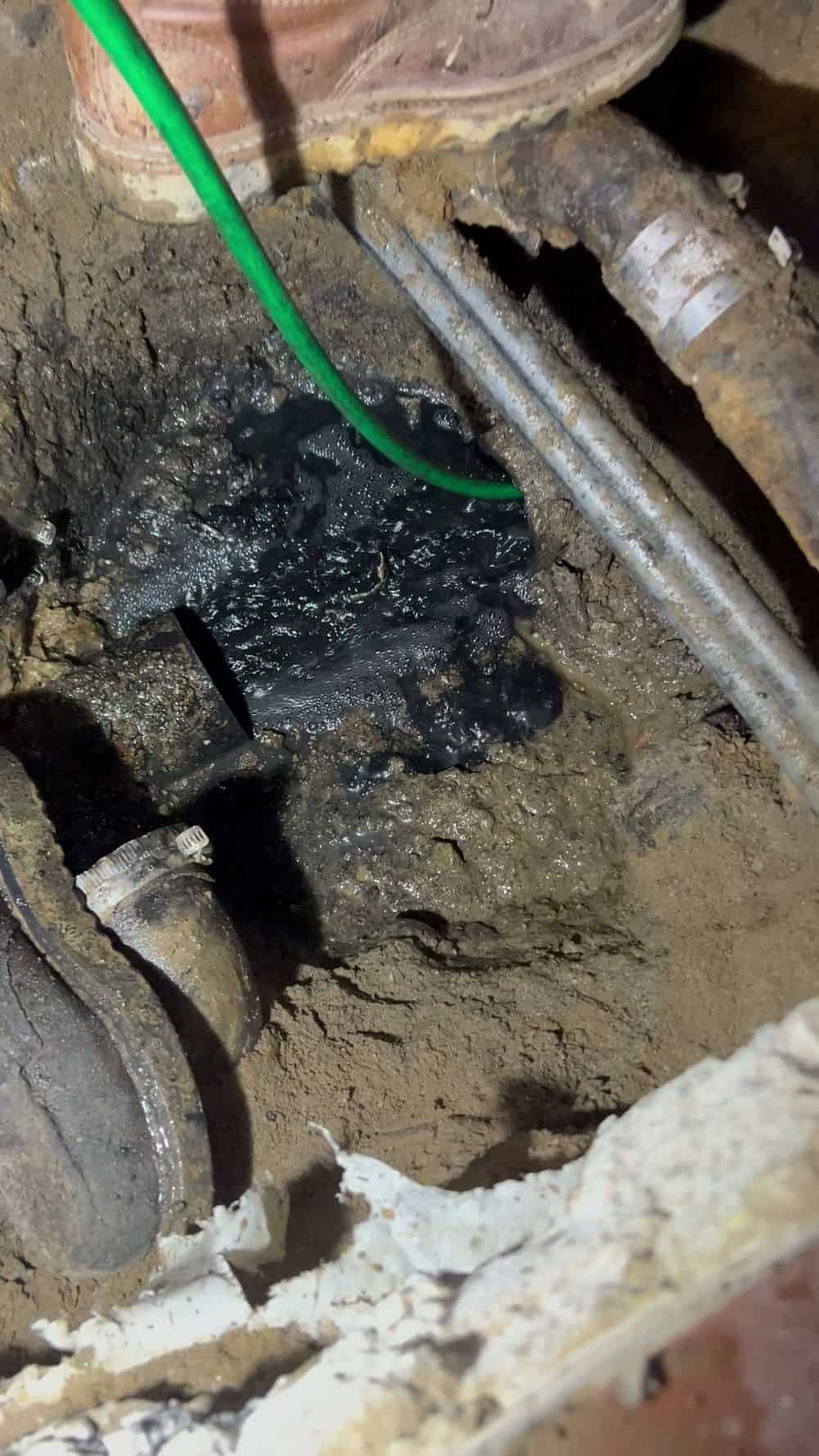 Sewer Clogs image